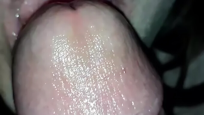 Femme Européenne Suce Ma Bite Dans Une Vidéo Hd