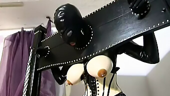 Bdsm: Late...