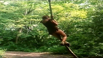 Tarzan'In ...